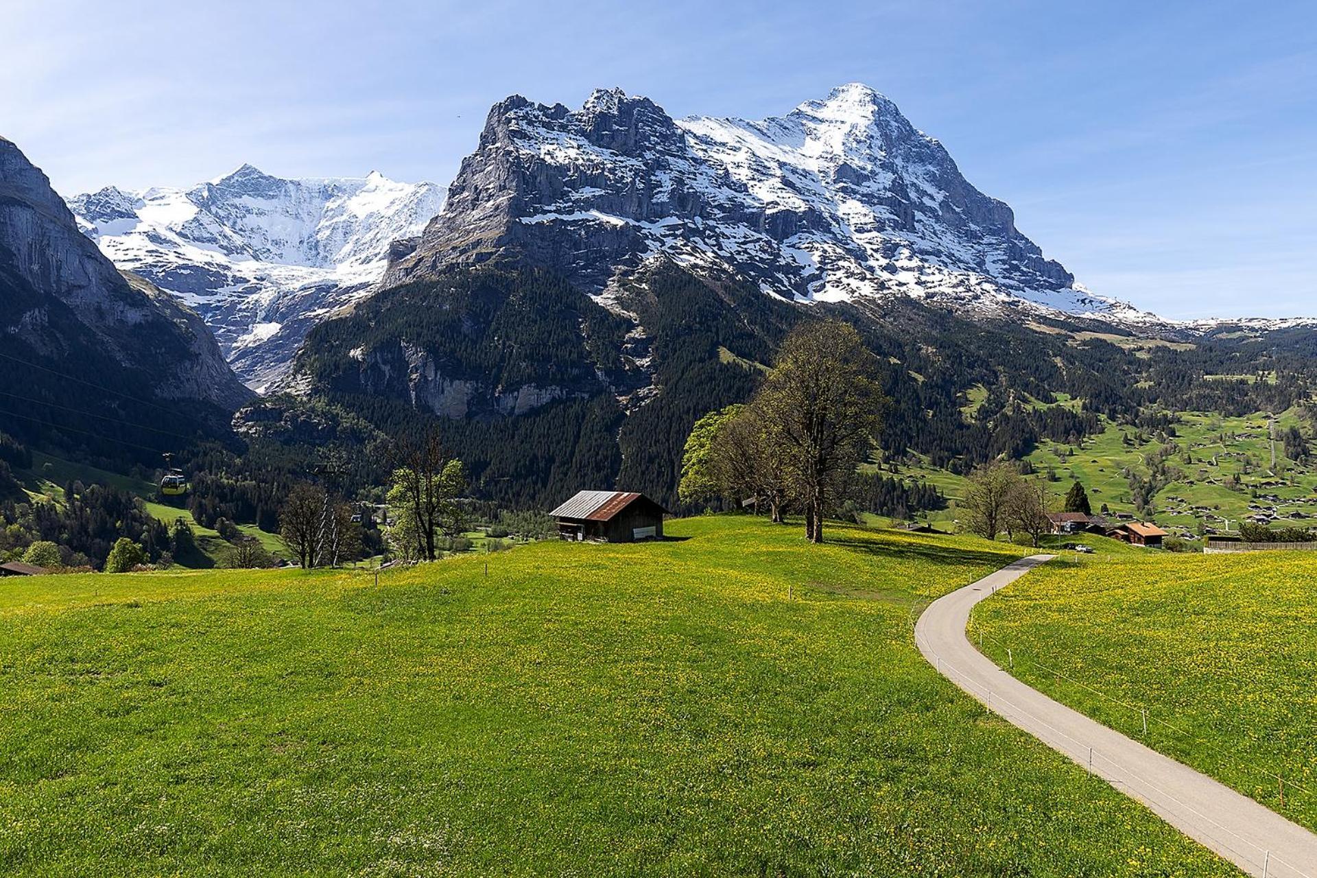 Hotel Bodmi Grindelwald Dış mekan fotoğraf