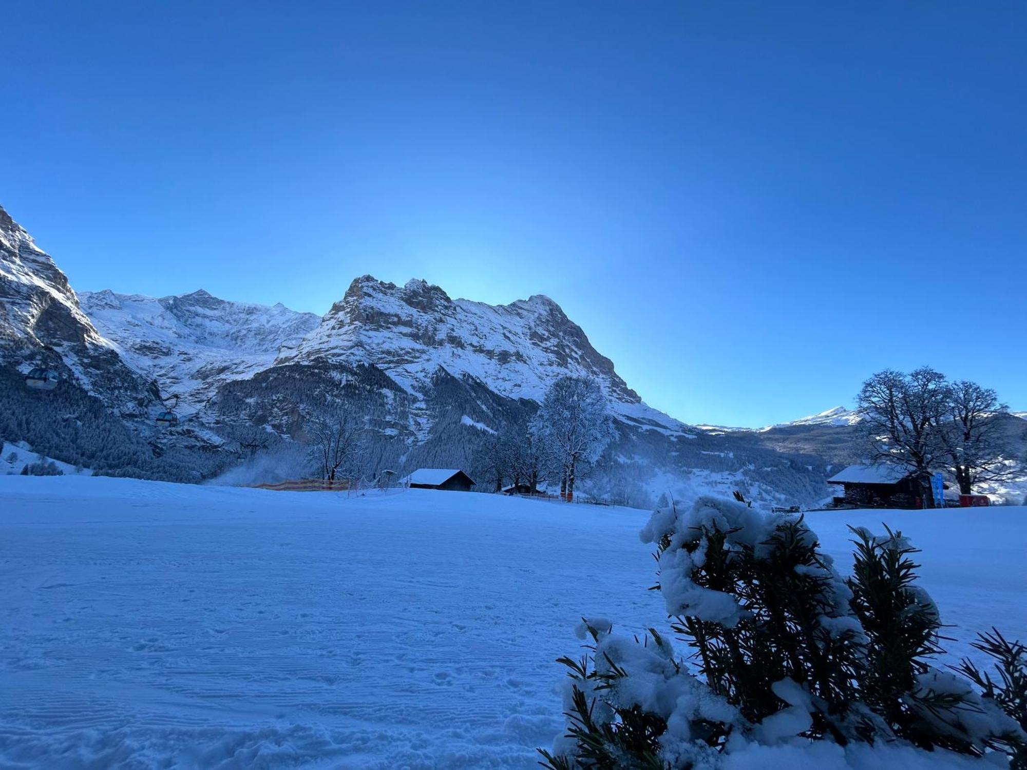 Hotel Bodmi Grindelwald Dış mekan fotoğraf
