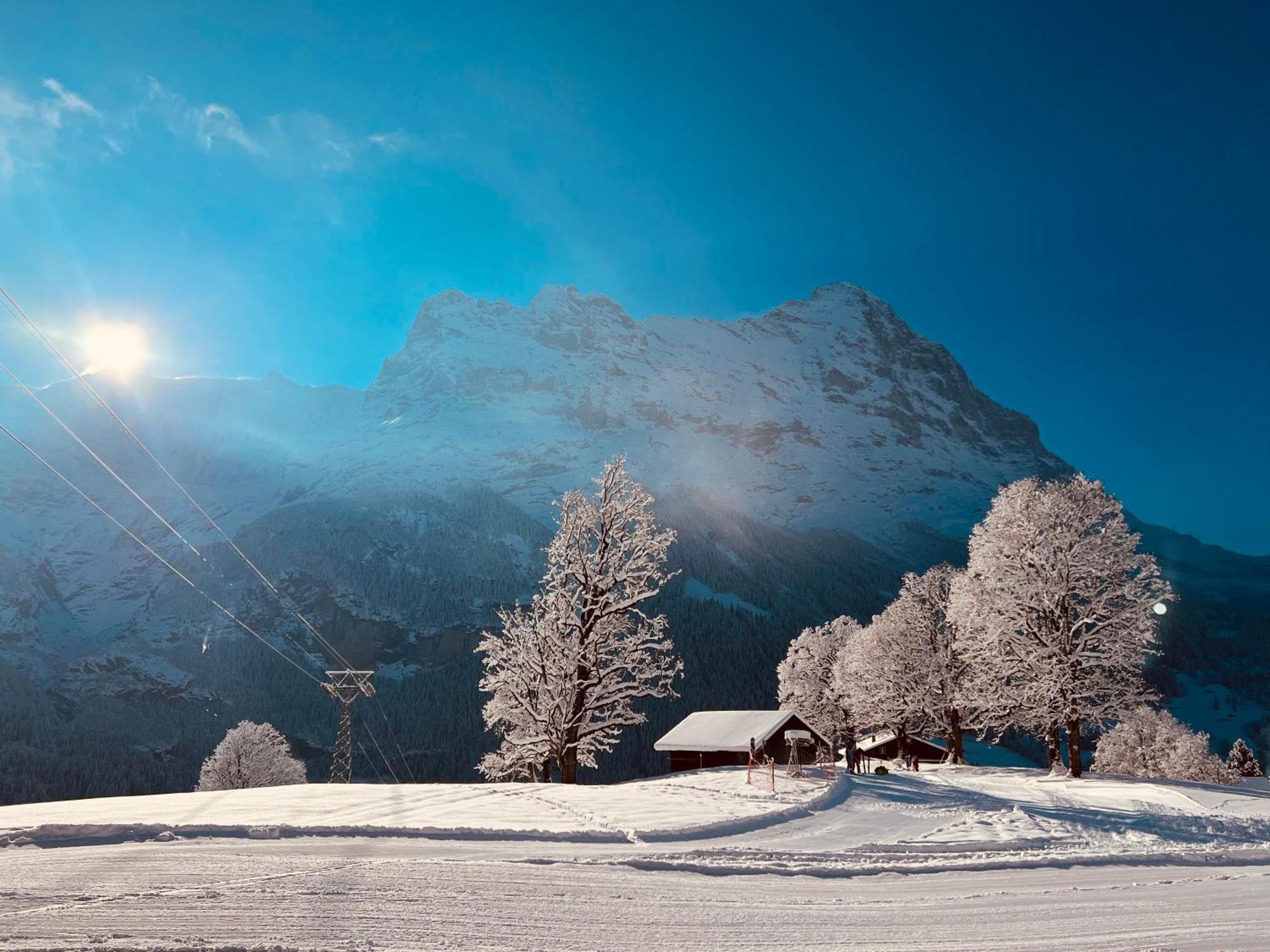 Hotel Bodmi Grindelwald Dış mekan fotoğraf