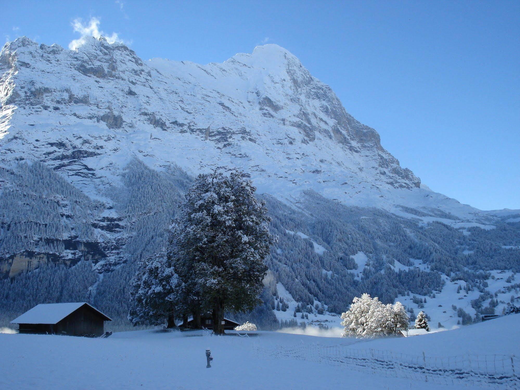 Hotel Bodmi Grindelwald Dış mekan fotoğraf