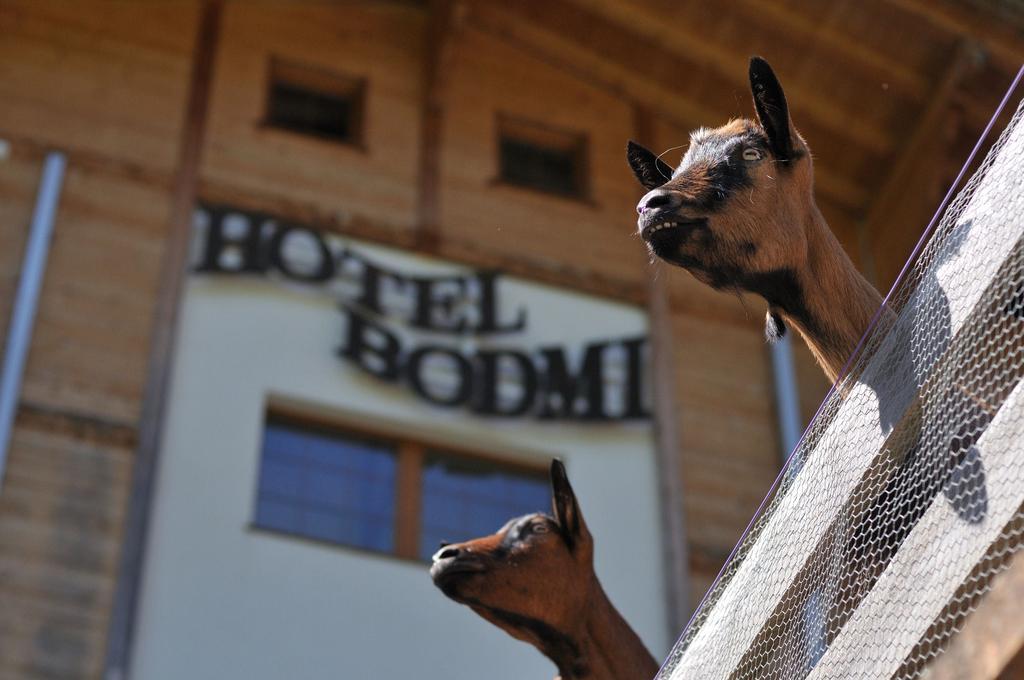 Hotel Bodmi Grindelwald Dış mekan fotoğraf